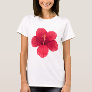Cicy Bell Dames T-shirt met korte mouwen - Zachte