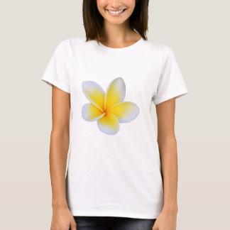 Cicy Bell T-Shirt pour femmes à manches courtes –