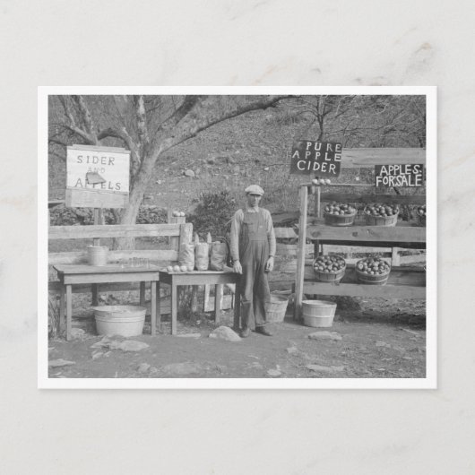 Cider- en appelstandaard briefkaart (Voorkant)