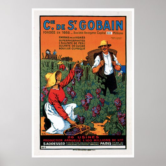 Cie de St.Gobain Grape Food and Art Poster (Voorkant)
