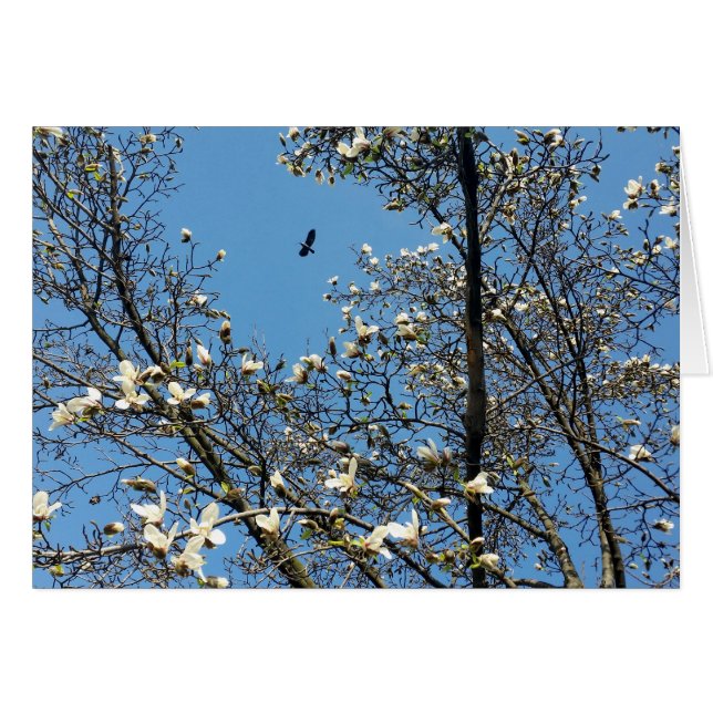 ciel au printemps (Devant horizontal)