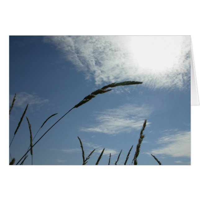 Ciel bleu (Devant horizontal)