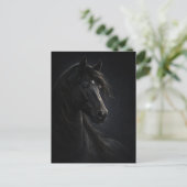 Ciel de minuit | Cheval Art | Carte postale (Debout devant)