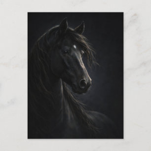 Ciel de minuit   Cheval Art   Carte postale