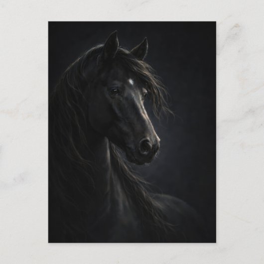 Ciel de minuit | Cheval Art | Carte postale (Devant)