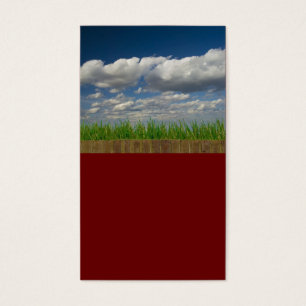 ciel, herbe, briques
