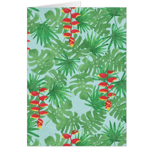 Ciel Jungle (Devant)