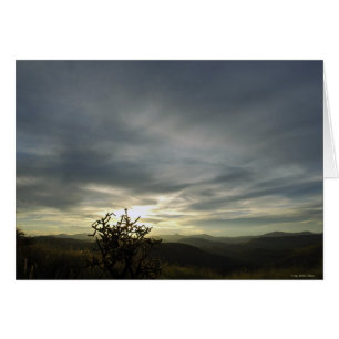 CIEL + LA TERRE