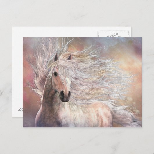 Cielo Briefkaart (Voorkant / Achterkant)