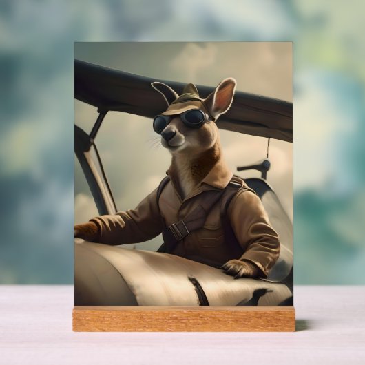 "Ciels Vintages : Le pilote Kangaroo dans l'ancien (Neutre)