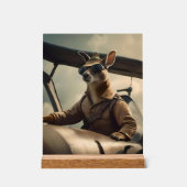 "Ciels Vintages : Le pilote Kangaroo dans l'ancien (Recto)