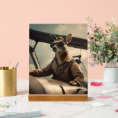 "Ciels Vintages : Le pilote Kangaroo dans l'ancien (Mariage)