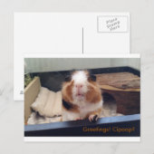 Cigar poop-postkaart briefkaart (Voorkant / Achterkant)