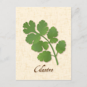 Cilantro Herb Briefkaart aanpassen