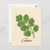 Cilantro Herb Briefkaart aanpassen (Voorkant / Achterkant)