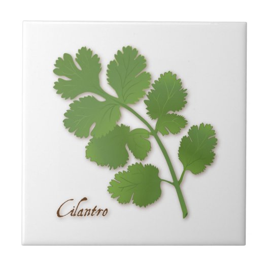 Cilantro Herb Ceramic Tegel Tegeltje (Voorkant)