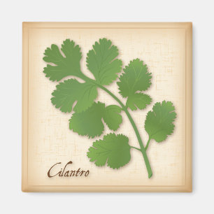 Cilantro Herb Magneet