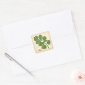 Cilantro Herb Square Sticker (Envelop)