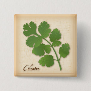 Cilantro Herb Vierkante Button 5,1 Cm