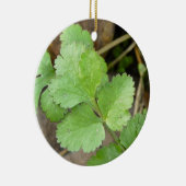 Cilantro Keramisch Ornament (Rechts)