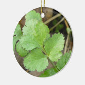 Cilantro Keramisch Ornament (Links)