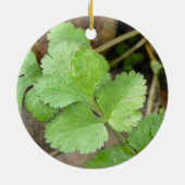 Cilantro Keramisch Ornament (Achterkant)