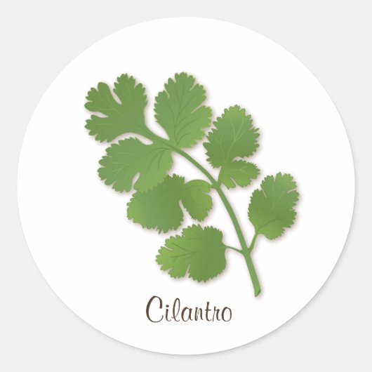Cilantro Sticker (Voorkant)