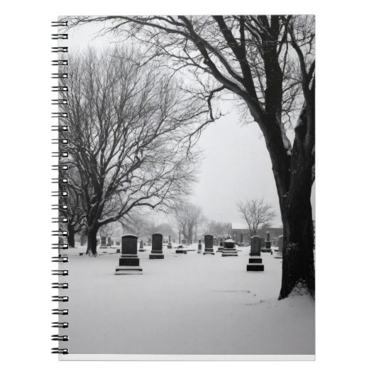 Cimetière Neige Carnet d'humidité (Devant)