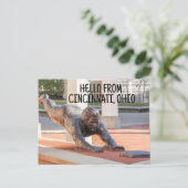 CINCINNATI OHIO HONKBALSTADION BRIEFKAARTEN (Staand voorkant)