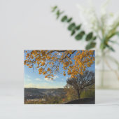 Cincinnati Park View Postcard Briefkaart (Staand voorkant)