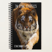 Cincinnati Tiger - (Devant)