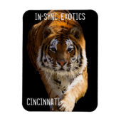 Cincinnati Tiger - Magneet (Verticaal)