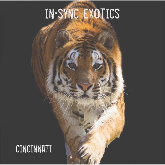 Cincinnati Tiger - Sticker (Voorkant)
