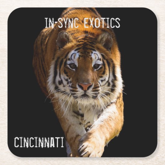 Cincinnati Tiger - Vierkante Kartonnen Onderzetter (Voorkant)