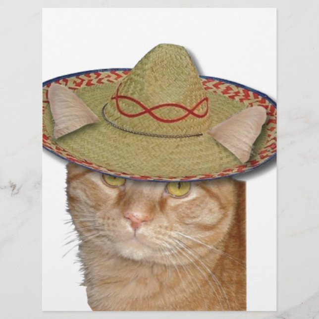 Cinco de Gato (Voorkant)