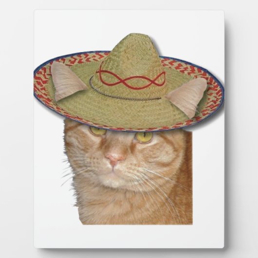 Cinco de Gato Fotoplaat (Voorkant)