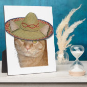 Cinco de Gato Fotoplaat (Zijkant)