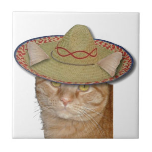 Cinco de Gato Tegeltje