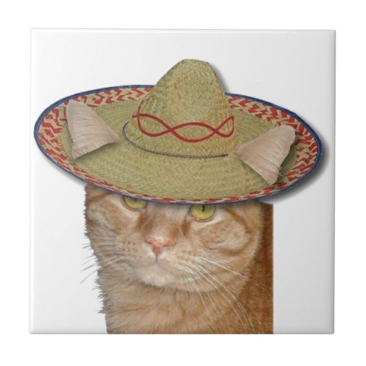 Cinco de Gato Tegeltje (Voorkant)