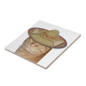 Cinco de Gato Tegeltje (Zijkant)