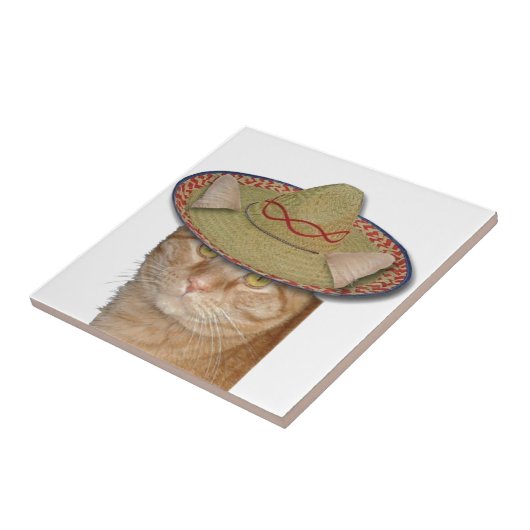 Cinco de Gato Tegeltje (Zijkant)