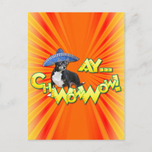 Cinco de Mayo - Ay ChWow! -Chihuahua Briefkaart