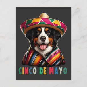Cinco De Mayo Berner Hond met Poncho en Sombrero Feestdagenkaart