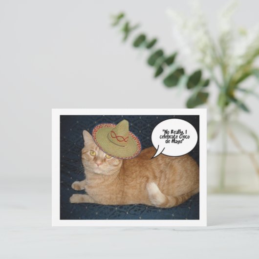 Cinco de Mayo Briefkaart (Staand voorkant)