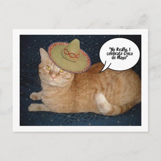 Cinco de Mayo Briefkaart (Voorkant)