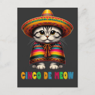 Cinco De Mayo Grappige Mexicaanse Kat Sombrero Meo Feestdagenkaart