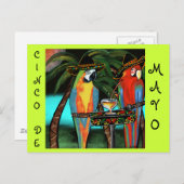 CINCO DE MAYO PARROTS BRIEFKAART (Voorkant / Achterkant)
