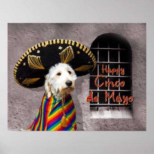 Cinco de Mayo Poster - Dog in Sombrero - Humor (Voorkant)
