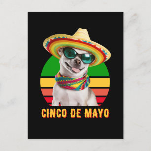 Cinco de Mayo sombrero Chihuahua met zonnebrillen Feestdagenkaart