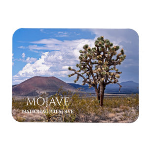 Cinder Cones, Joshua Tree, Mojave N Preserve, Cali Magneet